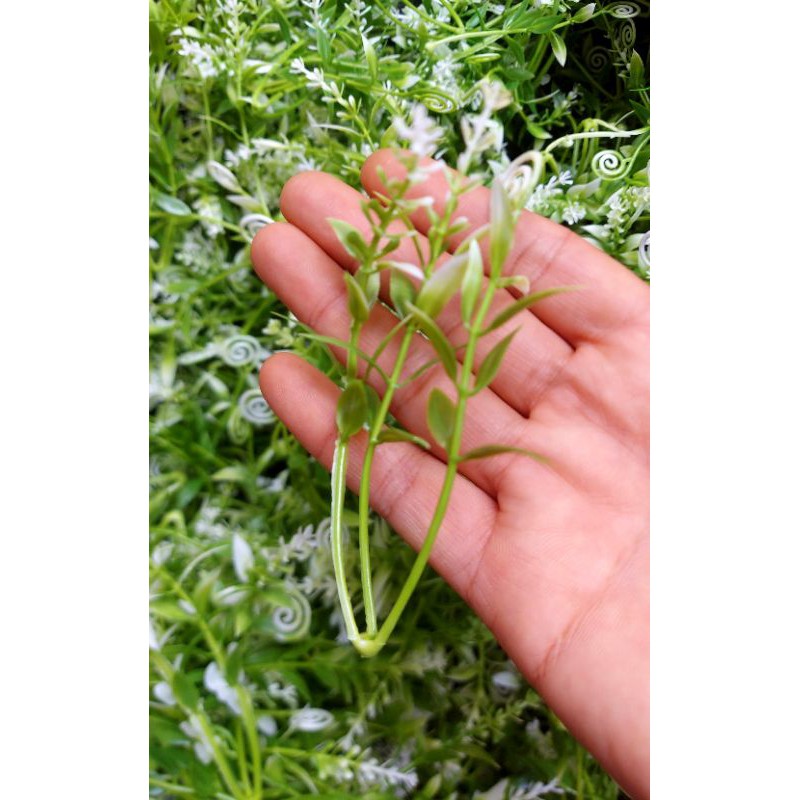 100gr CỎ ĐIỂM MÓC CÂU DÙNG CHO HOA SÁP ,HOA GIẤY ,HOA HANMADE