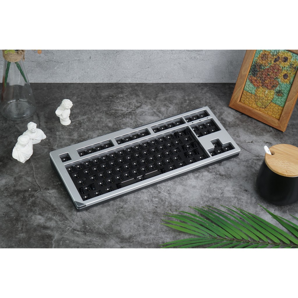 Kit bàn phím cơ AKKO Designer Studio – MOD001 Psittacus (Hotswap 5 pin / RGB / Foam tiêu âm)