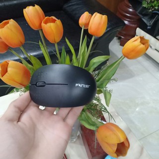 Chuột không dây FORTER V899