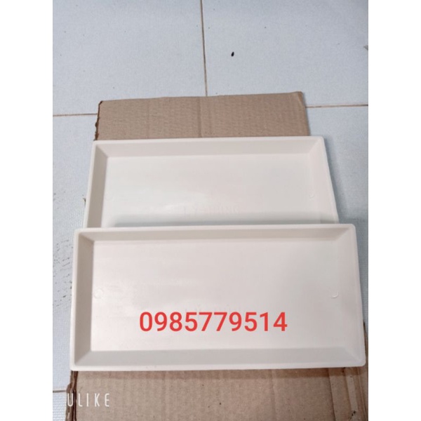 Máng ong nội _ Máng ăn ong nội