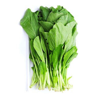 (SALE 1K) 300 Hạt giống rau cải ngọt