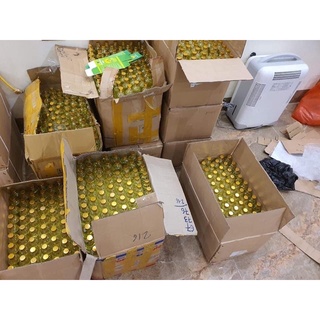 Dầu tràm huế