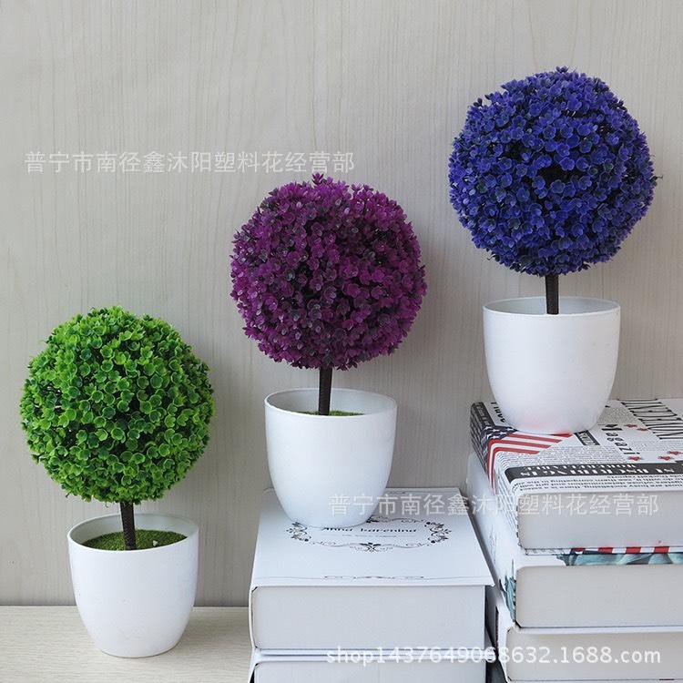 Chậu hoa cẩm tú cầu để bàn, để trang trí kệ treo tường .