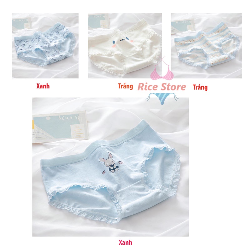 quần lót nữ cotton cạp thấp mềm mại thoáng mát KIMCHIBIKINI chip cute thái cao cấp kháng khuẩn thông hơi dễ Thương QL038
