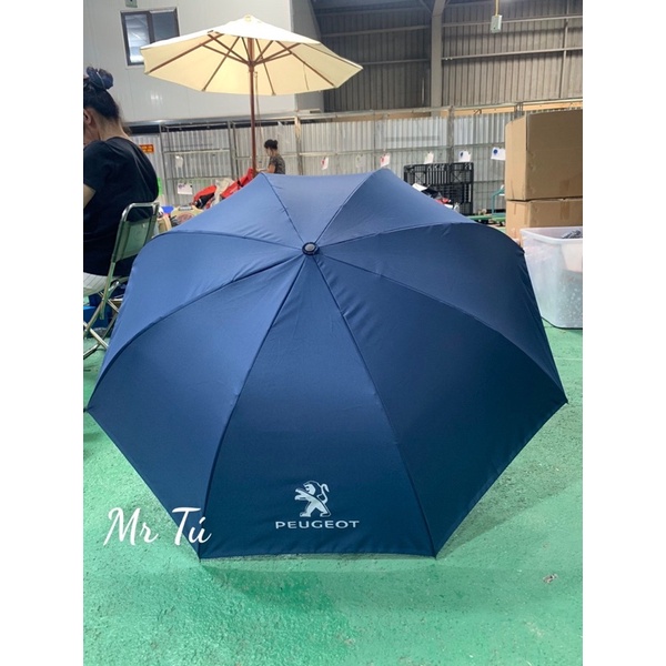 Ô Ngược logo thương hiệu Peugeot