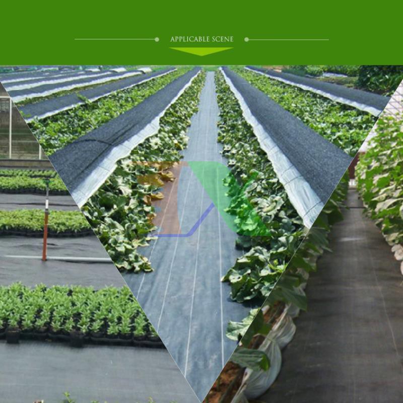 Bạt phủ chống cỏ dùng trong nông nghiệp PP , Khối lượng 90gram/ 1m2 (Kích thước 2m x 200m)