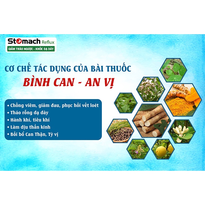 Stomach Reflux - Hỗ trợ giảm TRÀO NGƯỢC DẠ DÀY