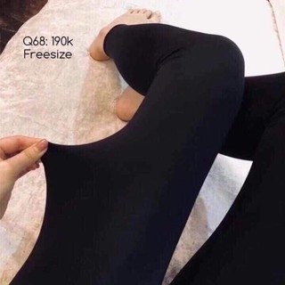 Quần lengging gấu loại đẹp