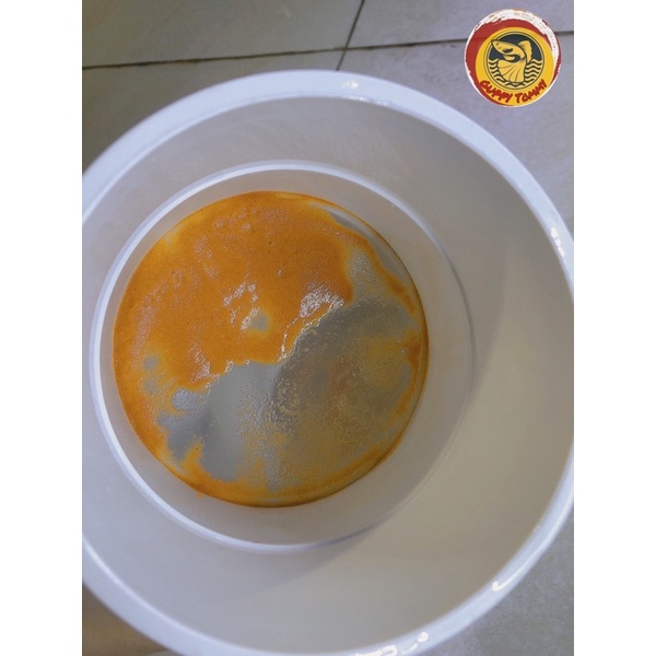Bộ lọc vỏ trứng (sạch 99%) 3 tầng ,lọc sạch trứng TQ và Mỹ