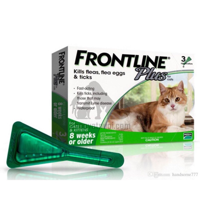 Thuốc nhỏ gáy trị ve rận cho mèo Frontline (1 tuýp)