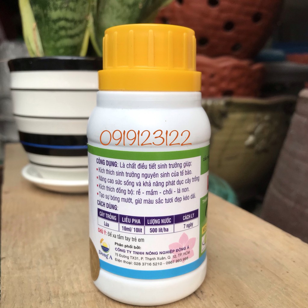 Thuốc Điều Hòa Sinh Trưởng LITOSEN 1.9EC 100ml - Kích Thích Đồng Bộ Rễ, Mầm, Chồi,Lá