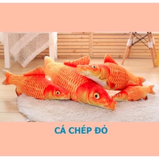 Cá catnip đồ chơi cho mèo