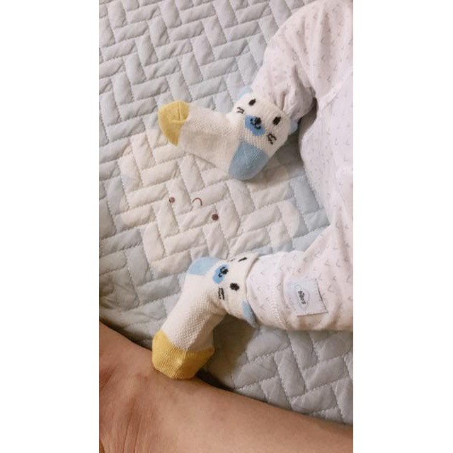 cobo tất sỉ