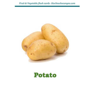 Vegetable flashcards -Set  46 Thẻ rau củ