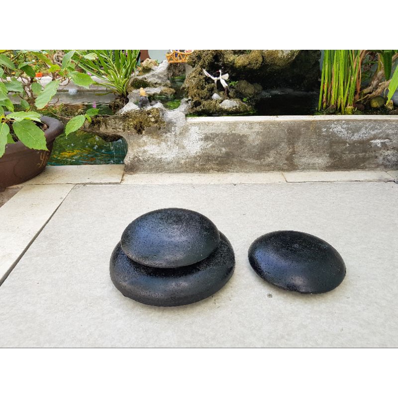 Nấm che hút đáy bể cá