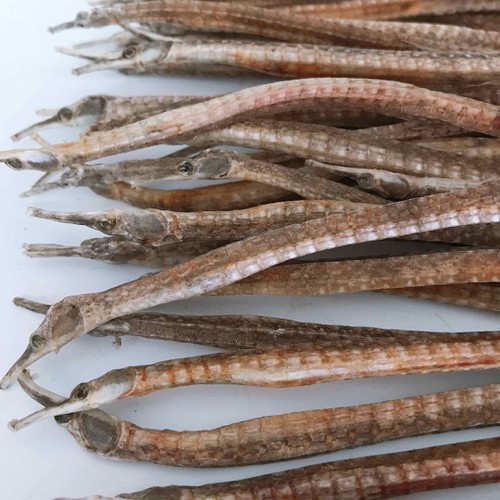 2 con hải long thuôn. hai long dài