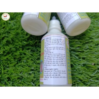 Thuốc diệt mối tận gốc chai 50ml