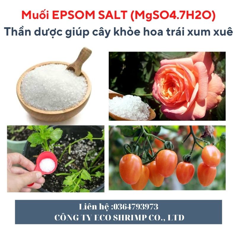 Muối epsom salt 500gr dùng trong nông nghiệp – Giúp xanh lá – tăng sức chống chịu sâu b ệnh