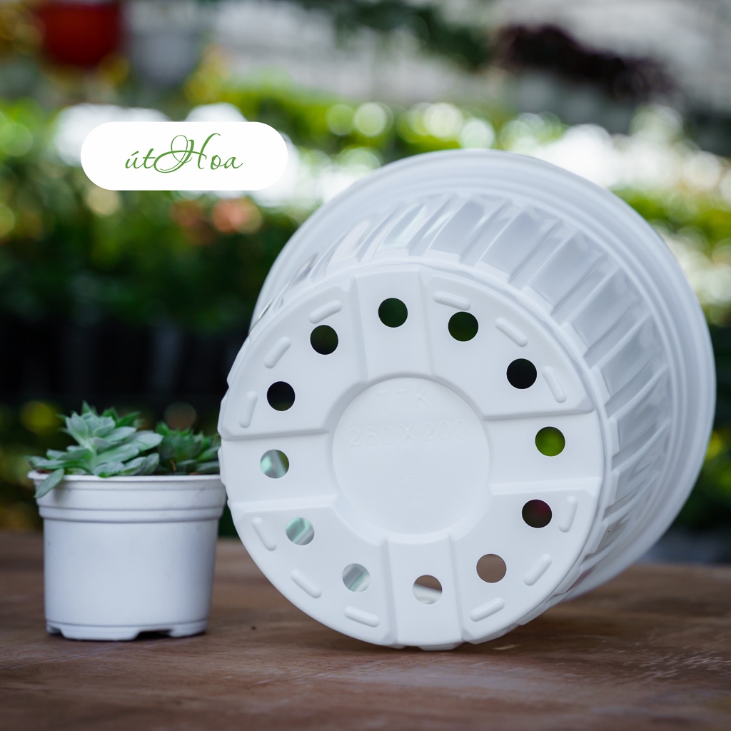 20 cái chậu trồng cây cỡ lớn nhất - chậu nhựa trắng T35 (35x28 cm)