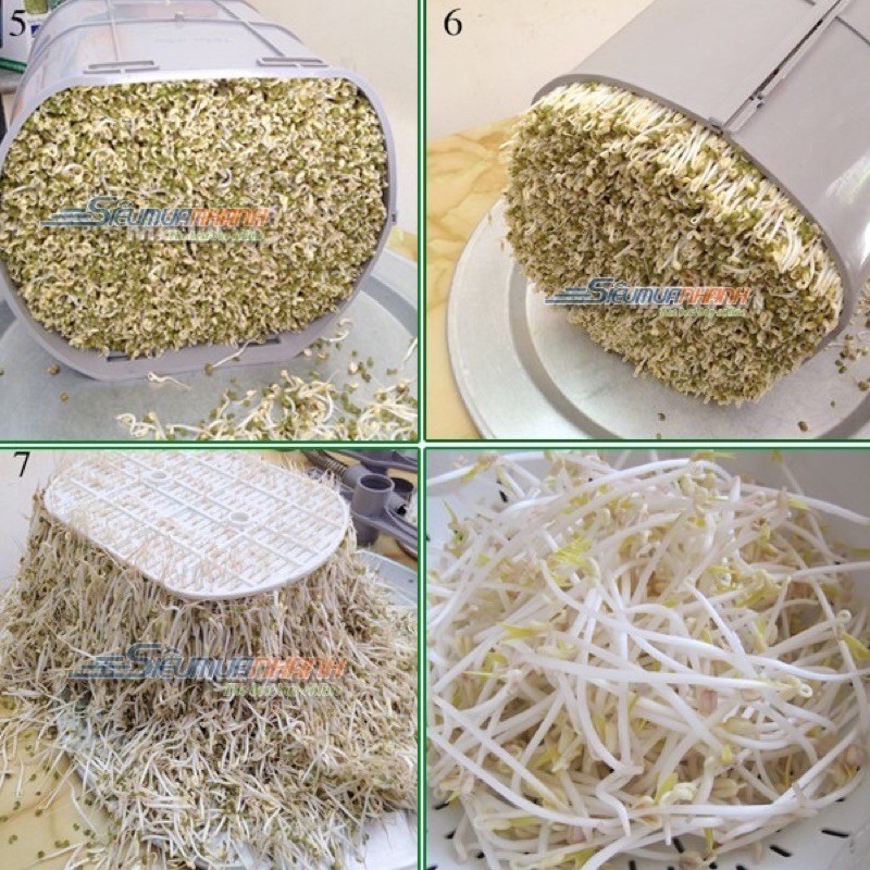 MÁY LÀM GIÁ ĐỖ SẠCH TỰ ĐỘNG ĐT 103