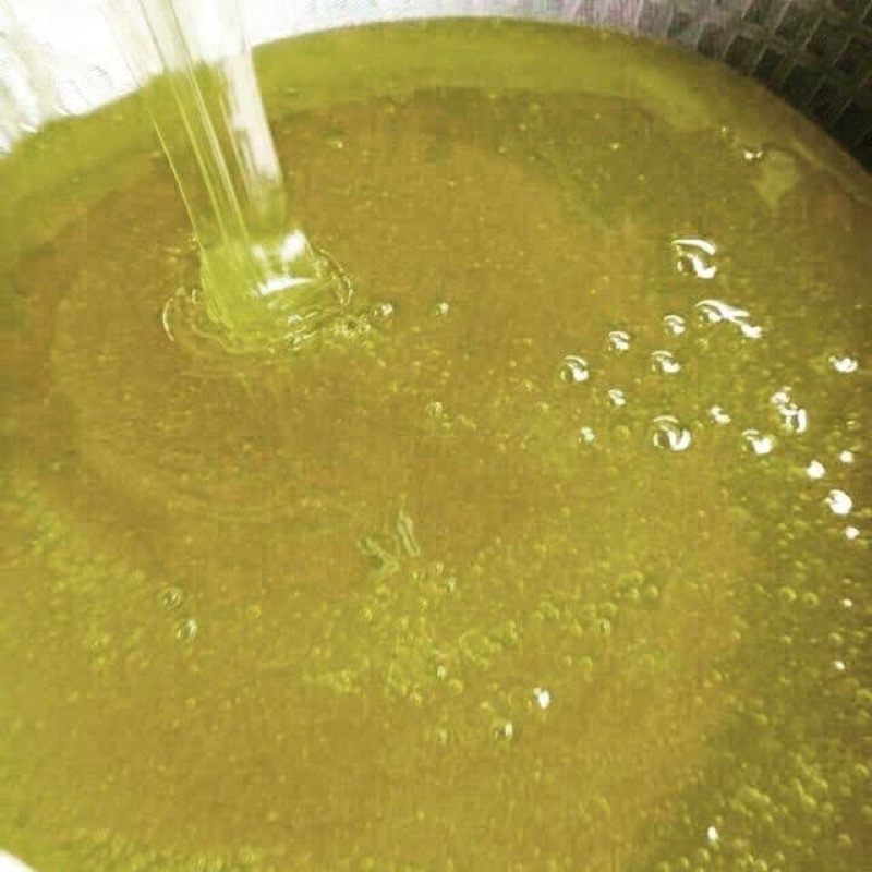 Mật ong Hoa Bạc Hà nguyên chất Hà Giang 500ml, không pha đường tốt hệ tiêu hoá, làm đẹp, giảm cân