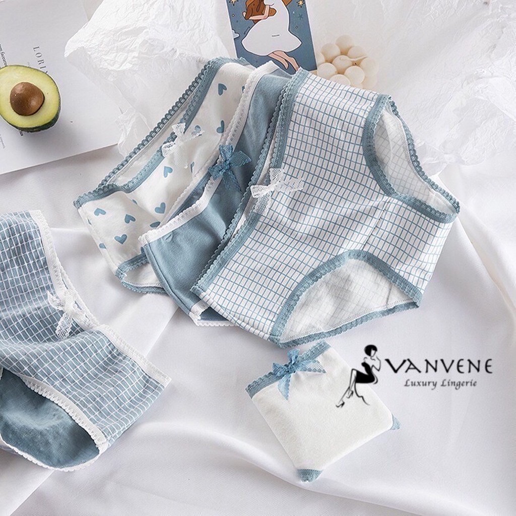 COMBO 5 QUẦN LÓT COTTON EVABRA COMBO 5 QUẦN CHIP NỮ NHIỀU LOẠI CẠP VỪA CẠP VỪA CHỐNG HẰN LỘ VIỀN CO GIÃN NHIỀU Q230 | BigBuy360 - bigbuy360.vn