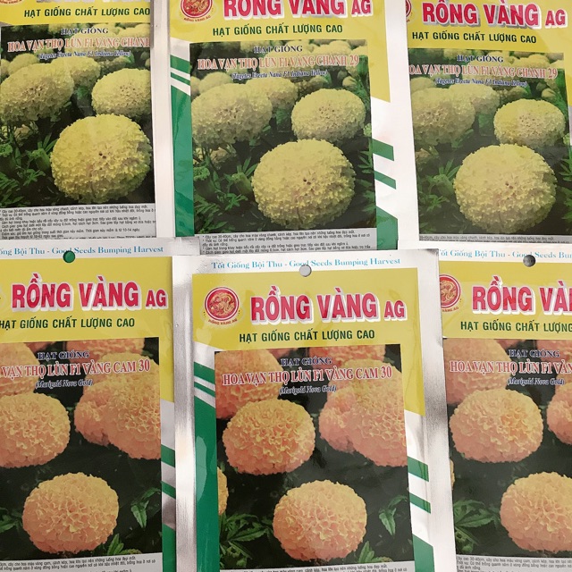 Hạt giống hoa Vạn Thọ - 20 hạt