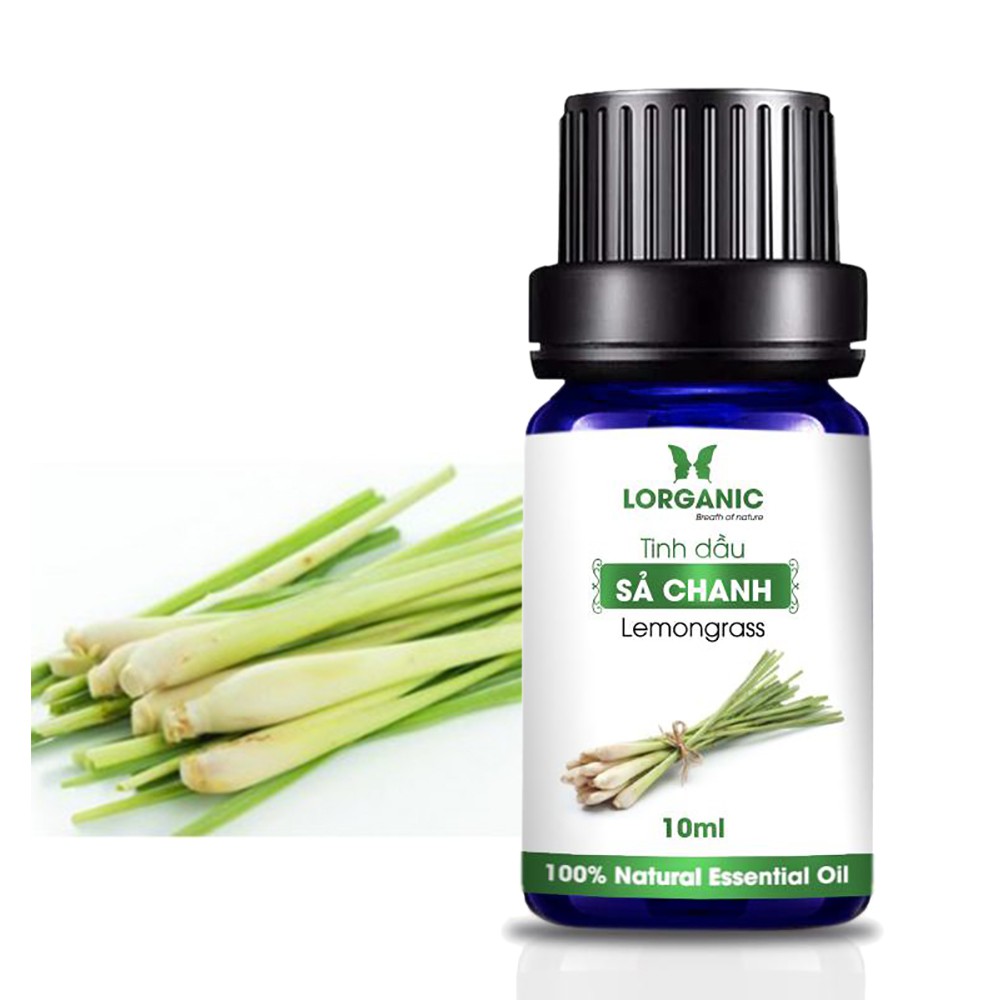 [FREE SHIP 50K] Combo 3 loại tinh dầu sả chanh, vỏ bưởi và bạc hà nguyên chất Lorganic 10ml/chai