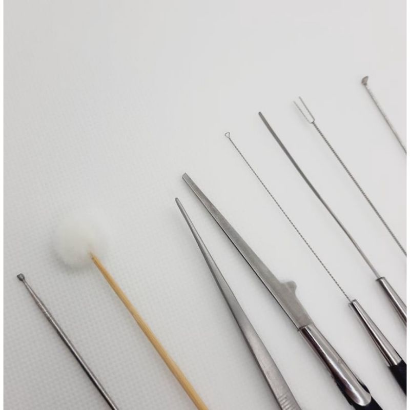 BỘ RÁY TAI THANH SƠN