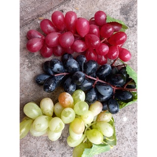 1 Chùm nho giả size 17cm - Trái cây giả - Hương Flower
