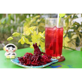 Combo 2 chậu cây atiso đỏ cây đẹp, đang bông, cao 80-100cm.