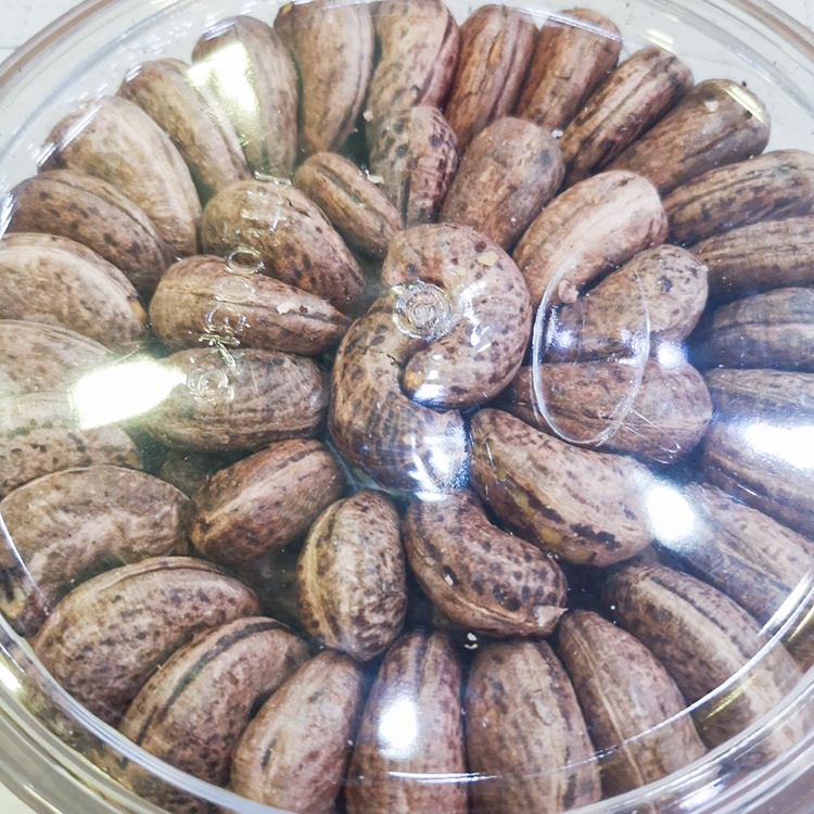 Hạt Điều Rang Muối Vỏ Lụa Nguyên Hạt (Loại A - Size Cồ) 500gr