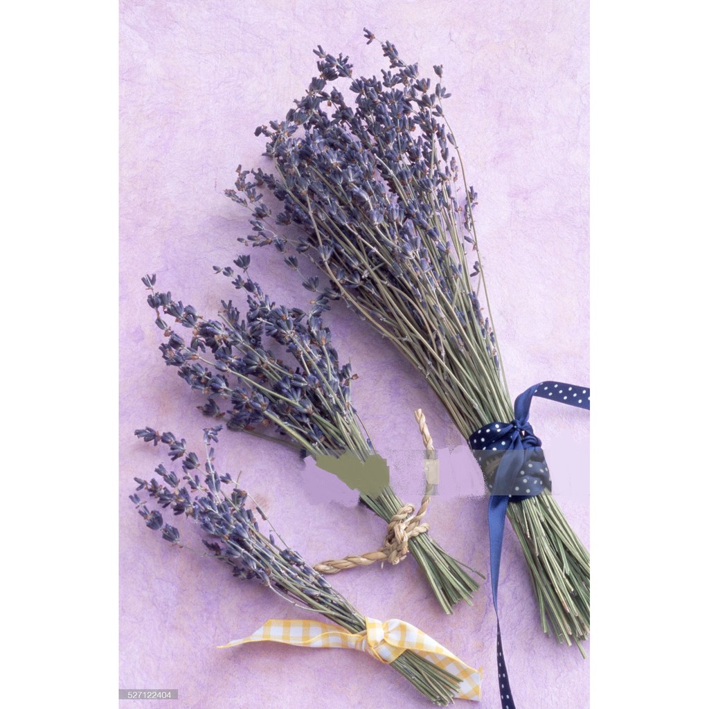 Bó hoa OẢI HƯƠNG sấy khô ( hoa Lavender)