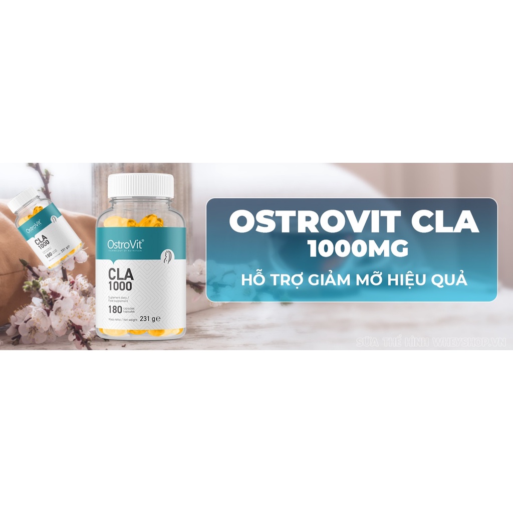 Ostrovit Cla 1000 Viên Hỗ Trợ Đốt Mỡ - 180 Servings - Từ Ba Lan
