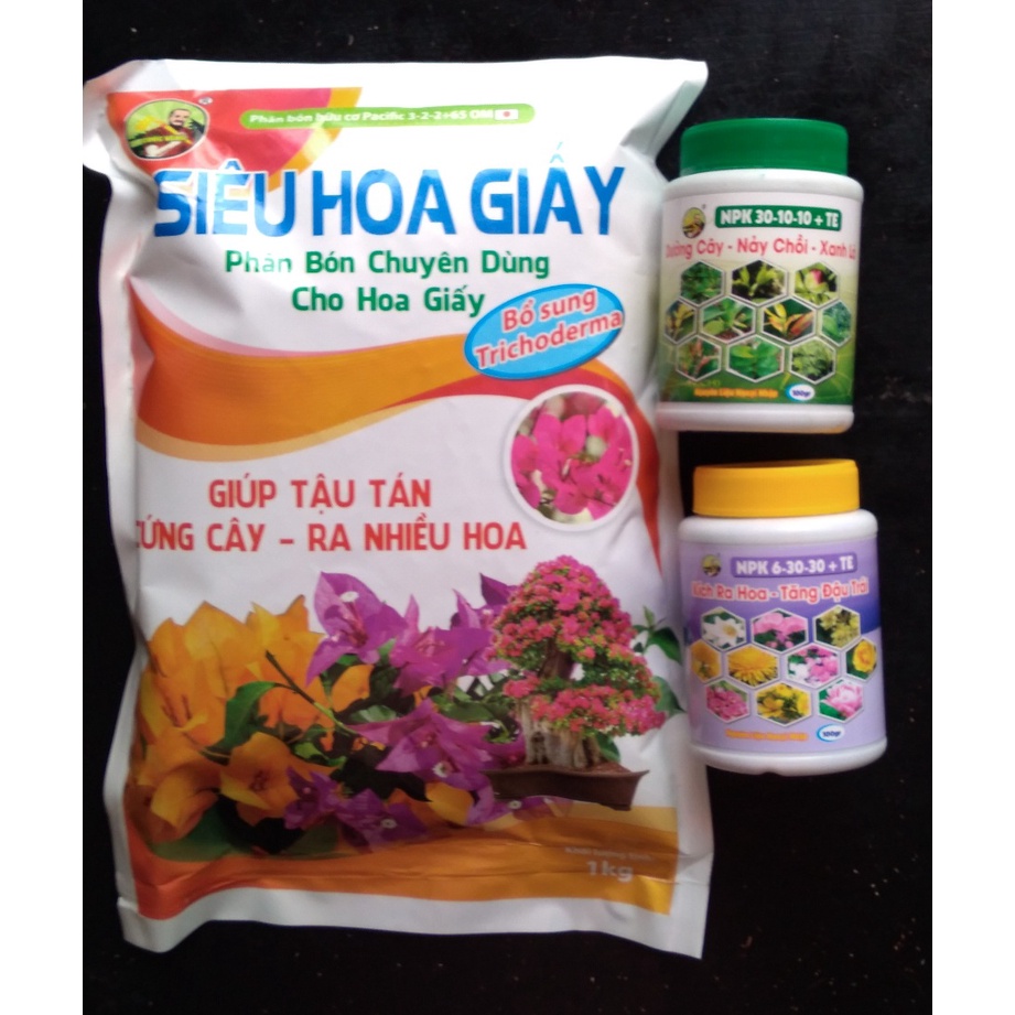 Combo phân hoa giấy chăm sóc + kích hoa