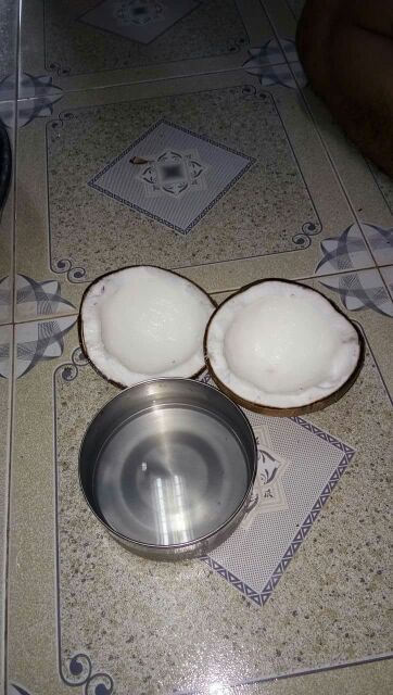 Dừa Sáp Lỏng 3 Cầu Kè-Trà Vinh