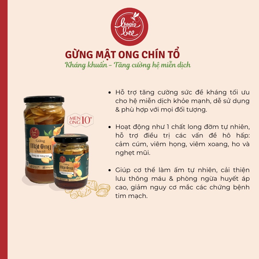 [Mã SKAMLTS7 giảm 10% đơn 150K] Mật Ong Ngâm Gừng Sấy Bonie Bee- Mật Ong Chín Tổ | BigBuy360 - bigbuy360.vn
