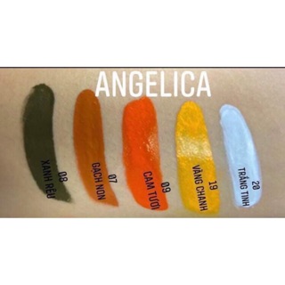 MỰC XỬ LÝ ANGELICA ĐỦ MÀU
