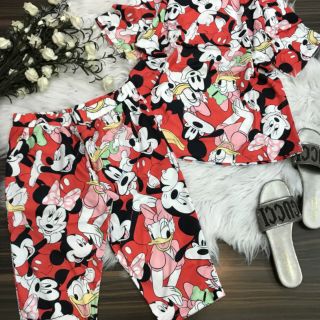 Set bộ áo thú tay ngắn quần lửng!