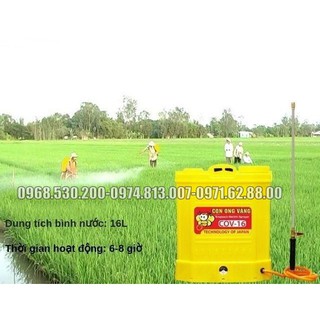Bình xịt điện 16 lít con ong vàng cov 16d, thuốc diệt côn trùng hiệu quả bảo hành 12 tháng