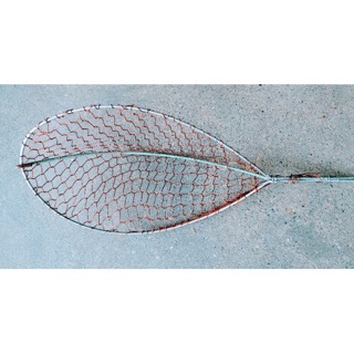 2 chiếc vợt đánh cá điện lưới đồng