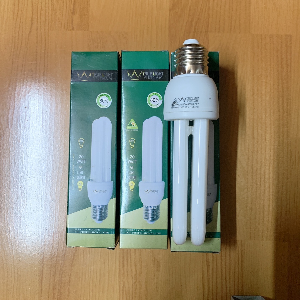 Các loại bóng đèn Compact