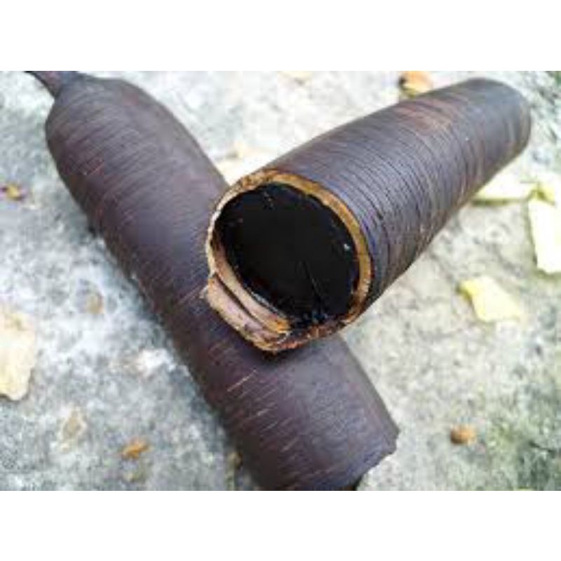 Cơm Quả ô môi hay quả Canh ki na