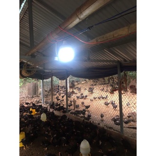 👉ĐÈN Bulb NLMT Công suất 50W- MAYOR WOLF