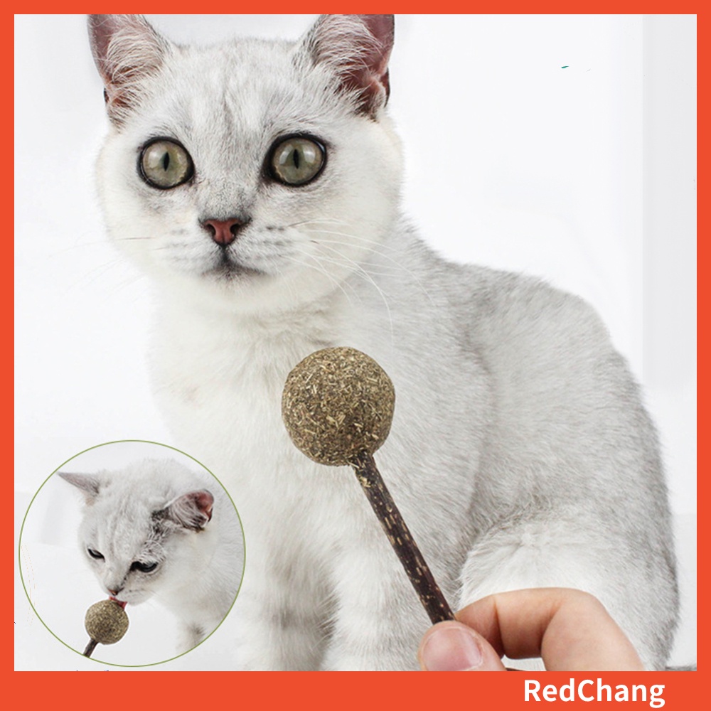 Quả Bóng Bạc Hà Mèo Hình Kẹo Mút Đồ Chơi Cho Mèo Cưng