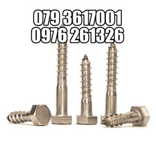 VÍT PHONG INOX 304 M10_BỊCH 10 CON