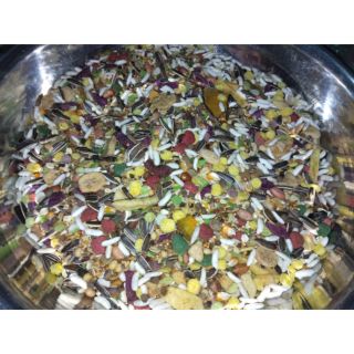 Thức ăn cơ bản dành cho hamster ❤