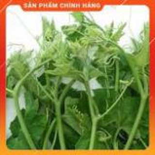 Hạt giống bí siêu ngọn thân mập gói 20 gram