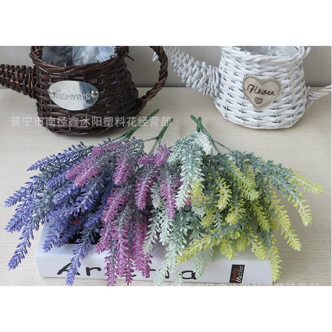 Hoa oải hương Nhựa