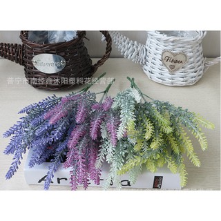 Hoa oải hương Nhựa
